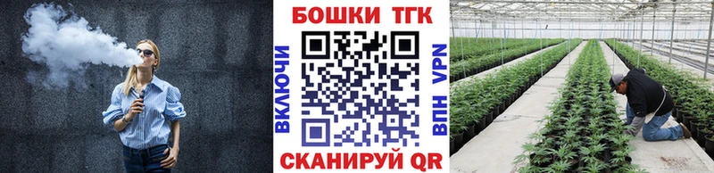 Шишки марихуана THC 21%  Чегем 
